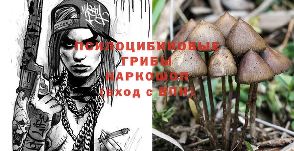 ALPHA PVP Белокуриха