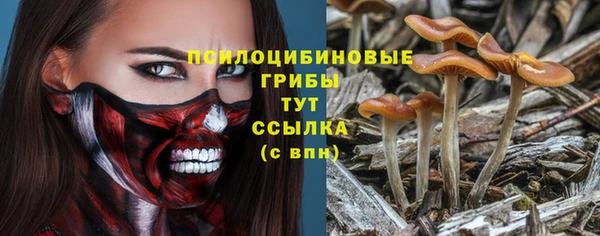 МДМА Беломорск